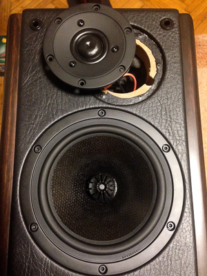 DIY Loudspeaker Projects - Cabinet and drivers assebling - Iuvenis