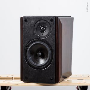 Iuvenis 2 way stand-mount loudspeaker system ready for measures - DIY Loudspeakers Projects