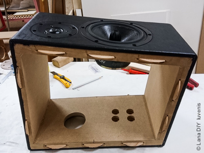 DIY Loudspeaker Projects - Cabinet assembling - Iuvenis