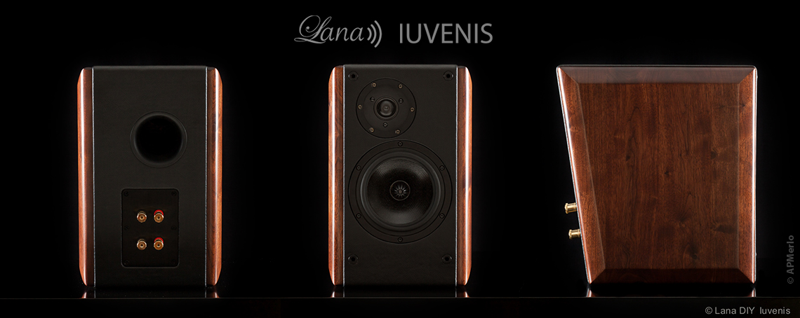 Iuvenis a 2 way stand mount loudspeaker system DIY project