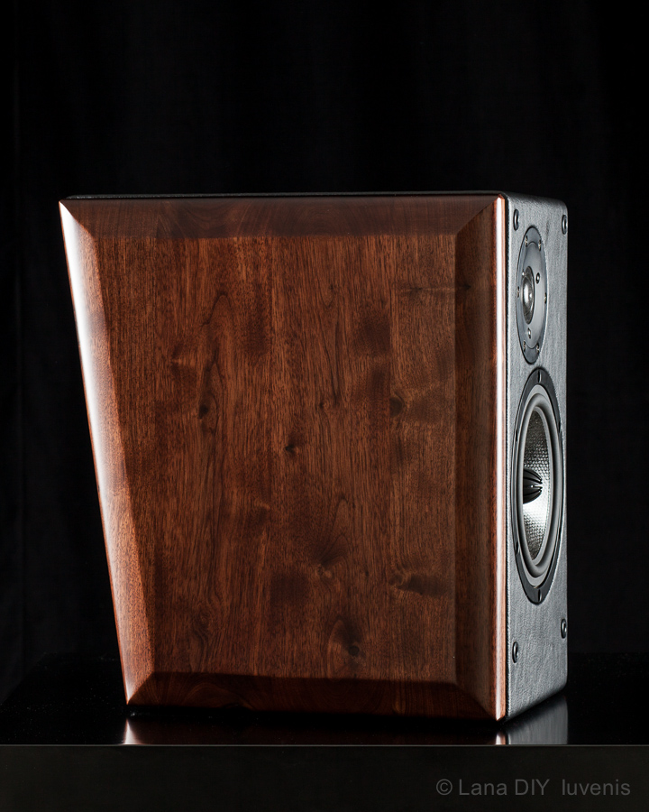 Iuvenis High-fidelity 2 way stand-mount speaker project